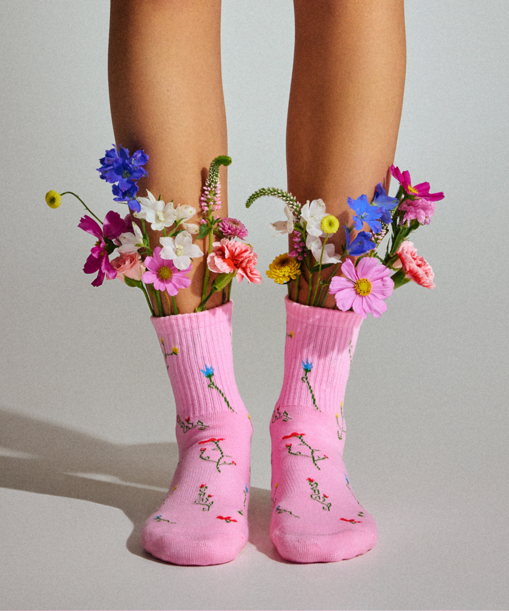 Meadow