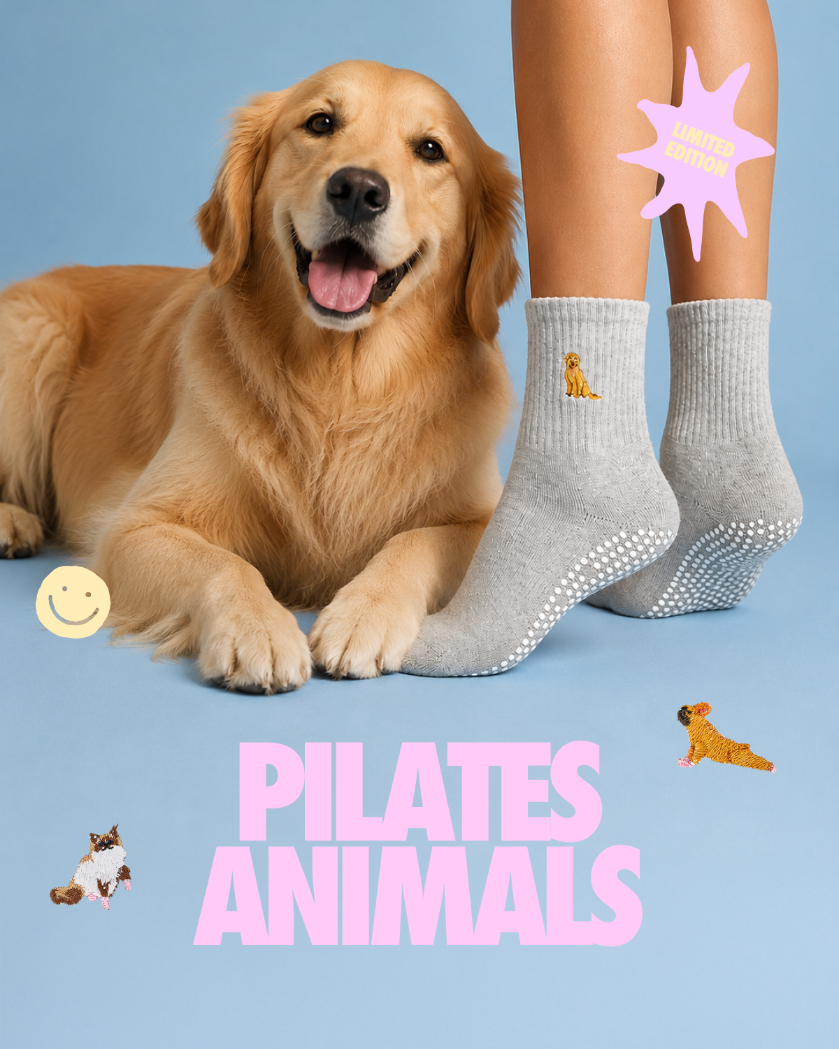 Pilates Animals
